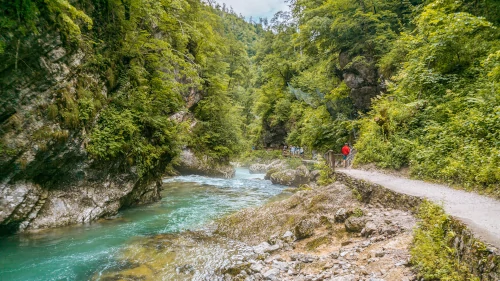 Vintgar Gorge in Slovenia