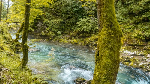 Vintgar Gorge near Lake Bled in Slovenia