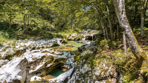 Mostnica Gorge near Lake Bohinj in Slovenia