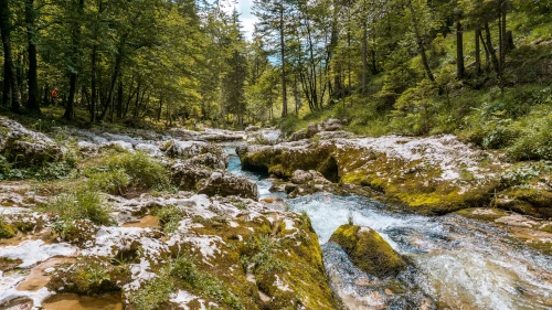 Mostnica Gorge near Lake Bohinj in Slovenia