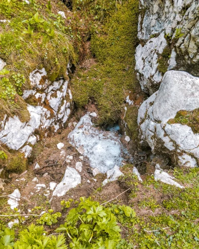 Ice along the trail in Triglav National Park, Slovenia