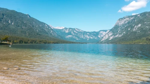 Swimming in Lake Bohinj, Slovenia