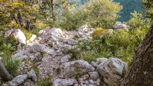 Trail down to Ukanc in Triglav National Park, Slovenia