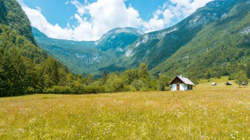 Voje Valley near Lake Bohinj in Slovenia