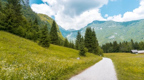 Voje Valley near Lake Bohinj in Sloveni