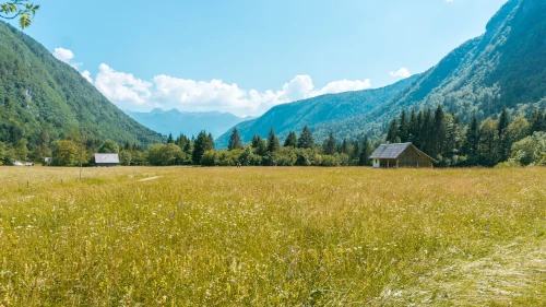 Voje Valley near Lake Bohinj in Sloveni