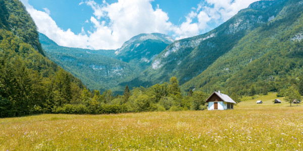 Voje Valley near Lake Bohinj in Slovenia