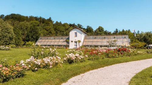 Glasshouse in Tivoli Park, Ljubljana, Slovenia