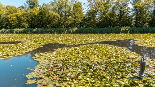 Tivoli Pond in Ljubljana, Slovenia