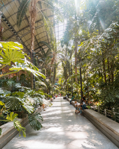 Garden in Atocha Station, Madrid, Spain