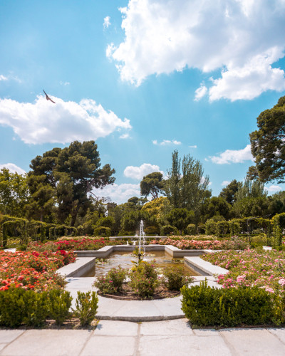 Rose Garden in Retiro Park, Madrid, Spain