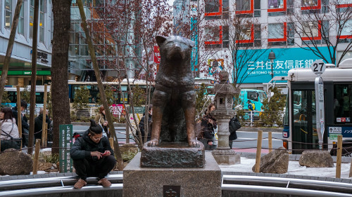 Hachiko Statue in Shibuya, Tokyo, Japan