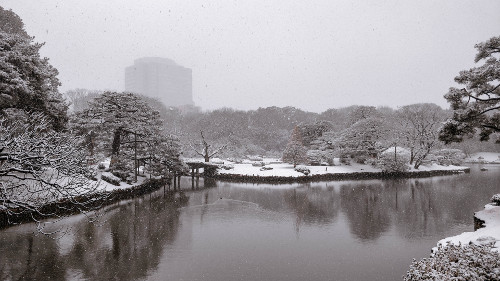 The Rikugi-en garden in snow in Tokyo, Japan