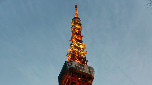 Tokyo Tower at night in Tokyo, Japan